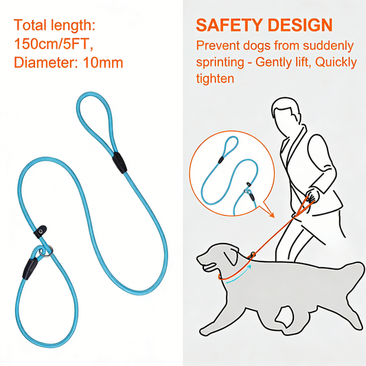 Nylon Slip Lead Dog Leash Durable No Pull Walking Training Leashes for Large Medium Small Dogs 3Pcs (Orange Pink Blue)