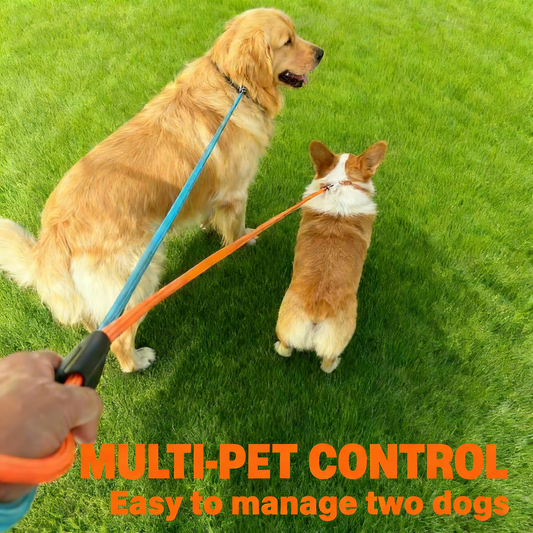 Nylon Slip Lead Dog Leash Durable No Pull Walking Training Leashes for Large Medium Small Dogs 3Pcs (Orange Pink Blue)